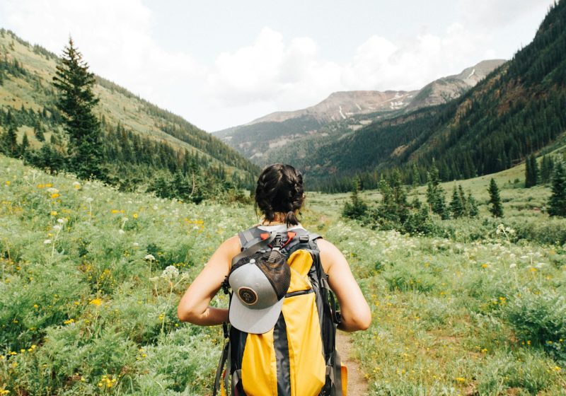 Cruises and Sustainability: What Travelers Should Know