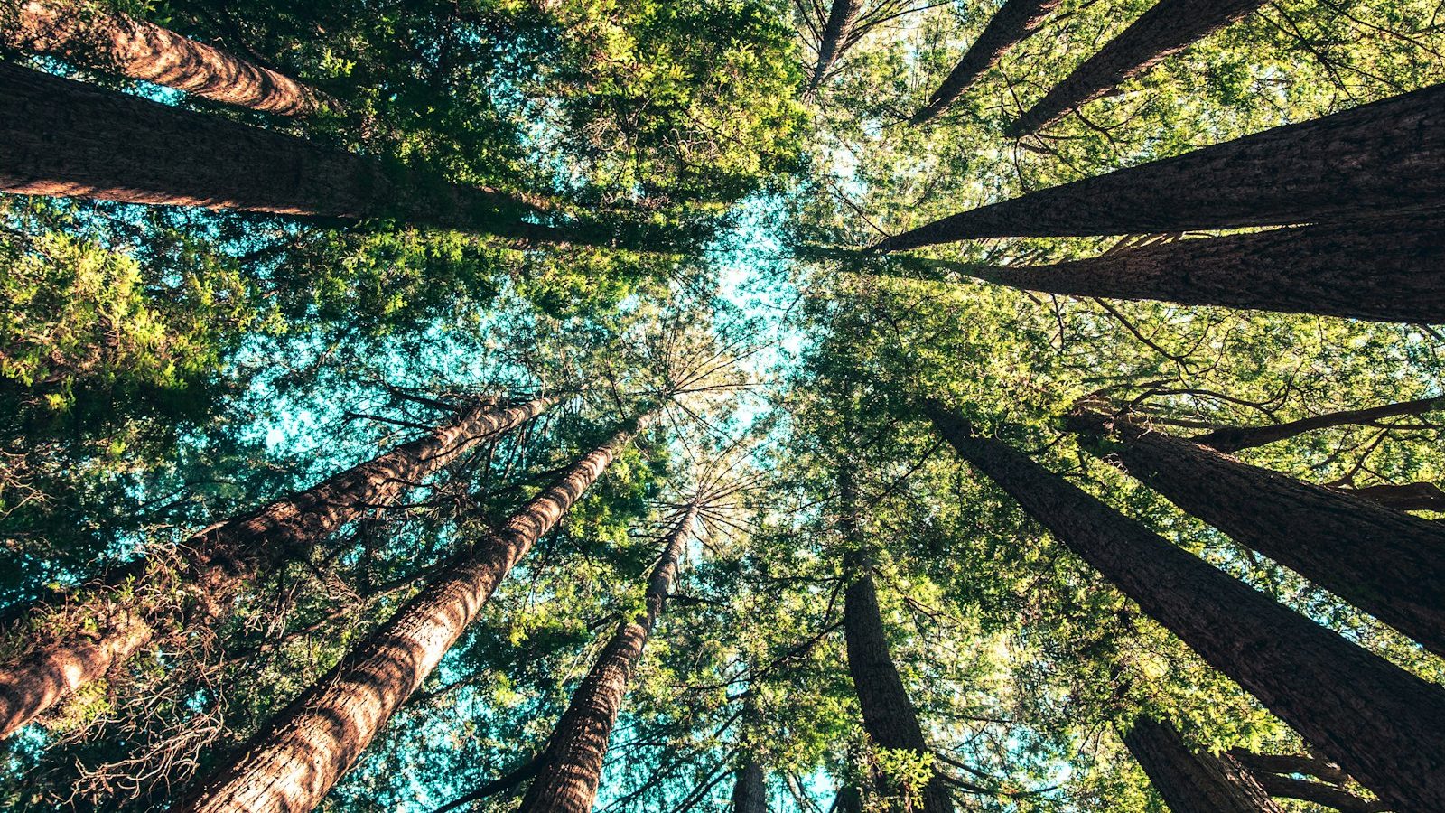 Eco-Conscious Souvenirs: Meaningful, Not Mass-Produced