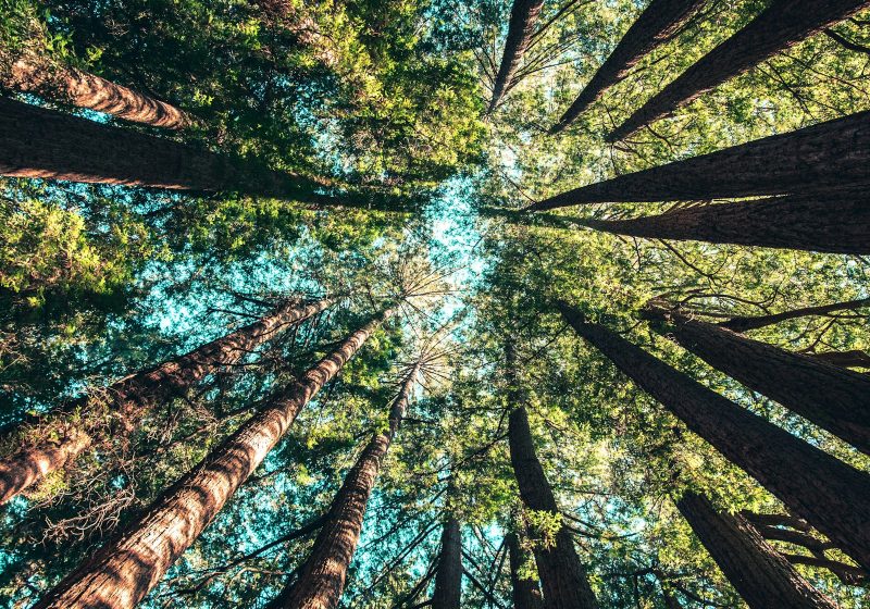 Eco-Conscious Souvenirs: Meaningful, Not Mass-Produced
