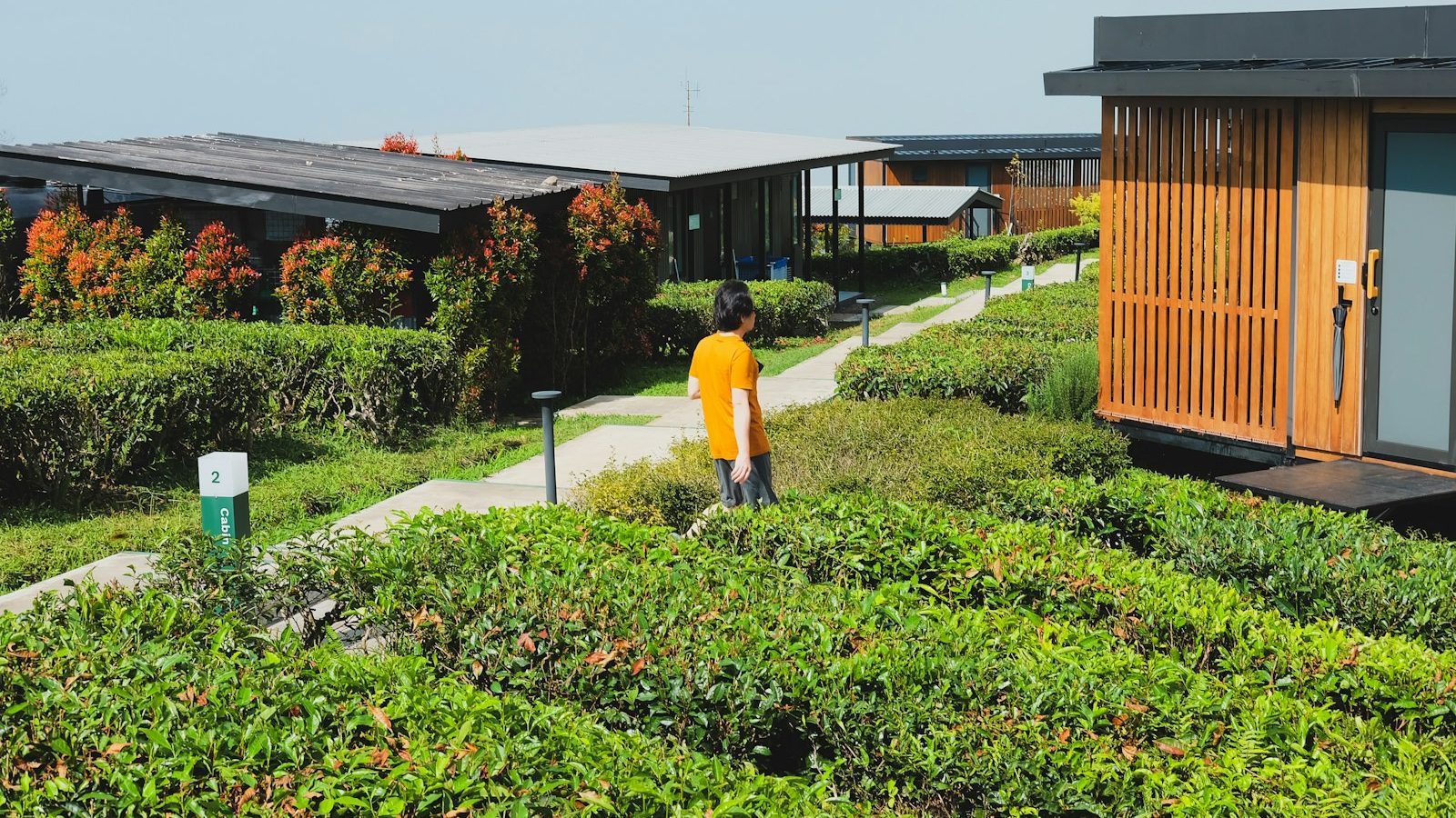 Eco-Resorts vs Traditional Hotels: What’s Actually Different?