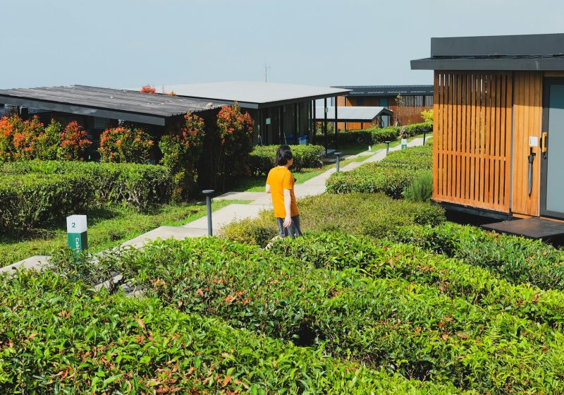 Eco-Resorts vs Traditional Hotels: What’s Actually Different?