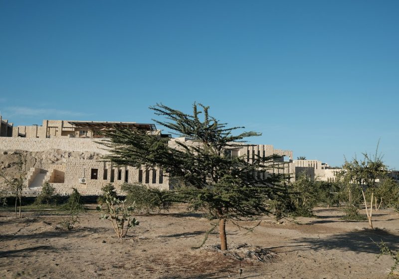 How to Find Genuinely Green Hotels (Not Just the Ones With Bamboo Slippers)
