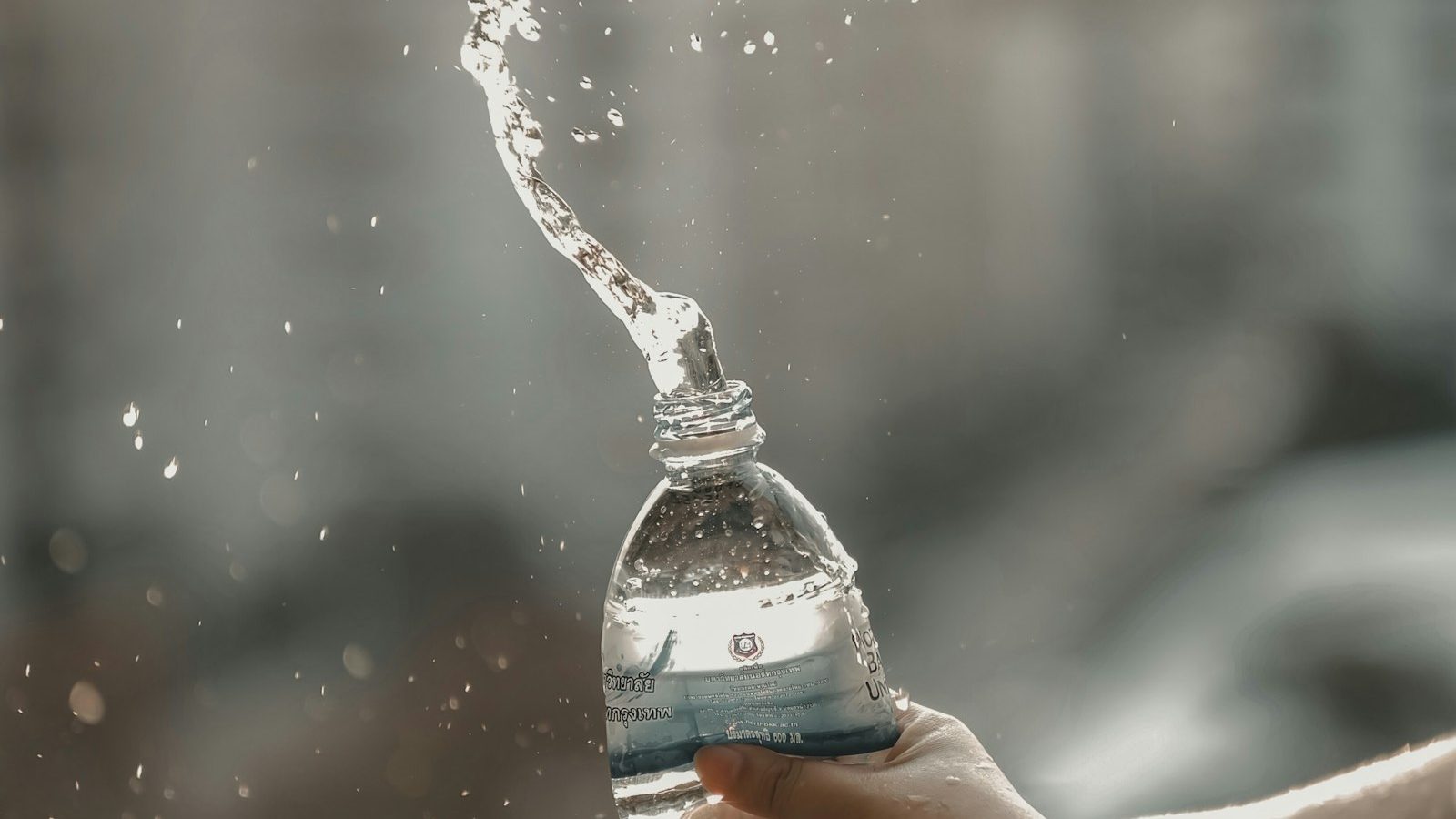Refill Culture and How to Find It While Traveling